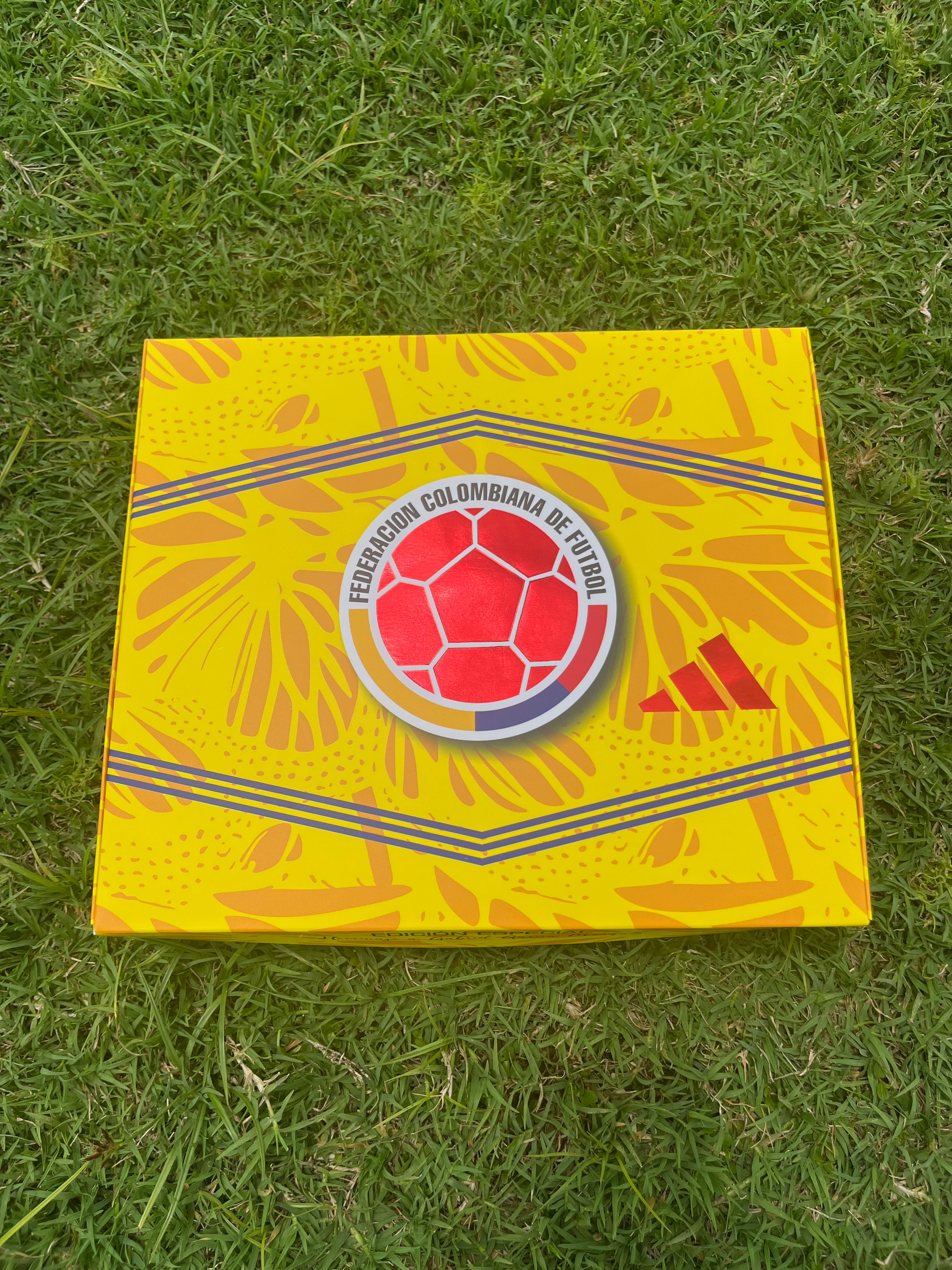 Caja de Regalo