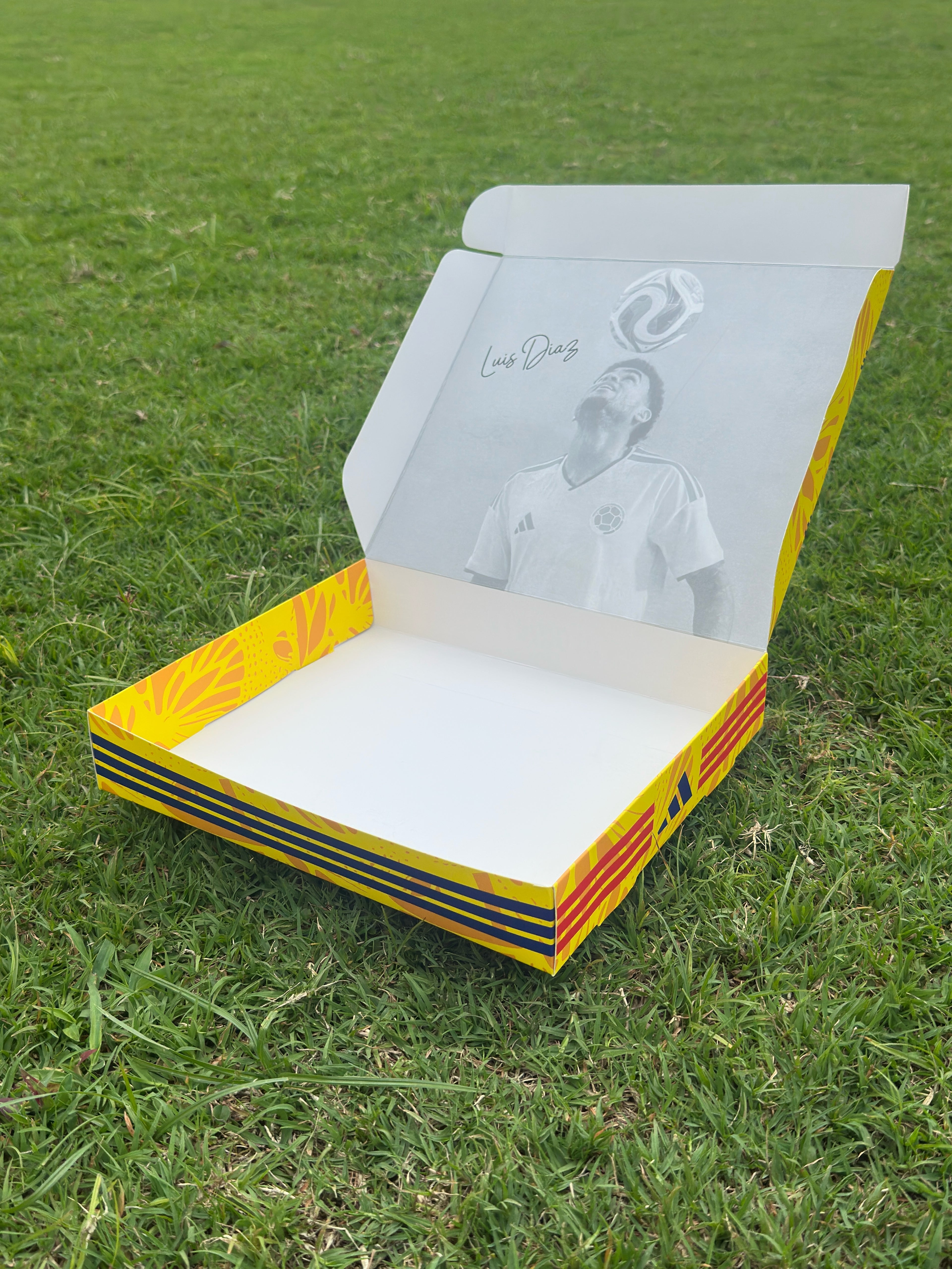 Caja de Regalo